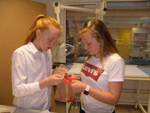 Thea and Ella add buffer to washed strawberries